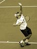 Davis Cup : 