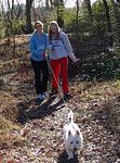 Walks : 