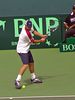 Davis Cup : 