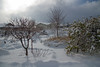 Pete Wraight > Reno Snow and Ice photo