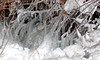 Pete Wraight > Reno Snow and Ice photo
