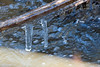 Pete Wraight > Reno Snow and Ice photo
